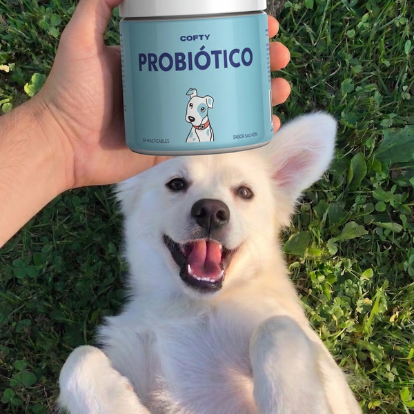 “Se rasca muchísimo menos”