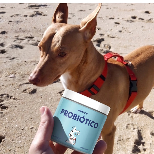 “Ahora forma parte de su rutina”