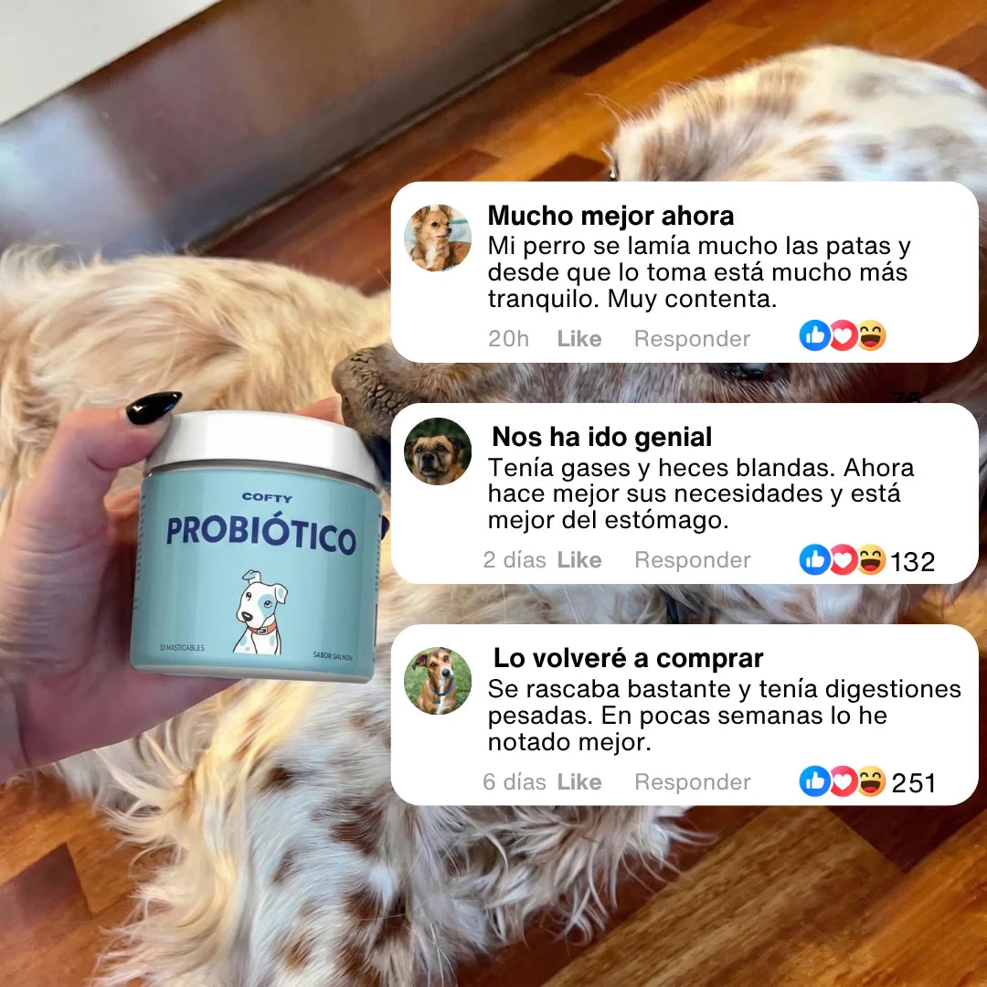 Probiótico Para Perros