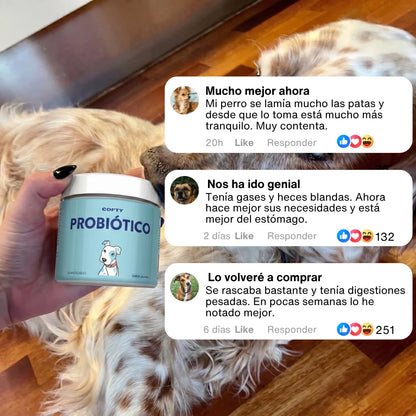 Probiótico Para Perros