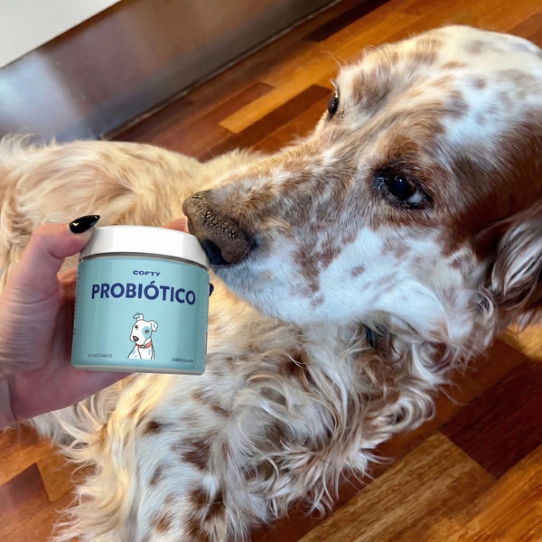 “El cambio se nota de verdad”