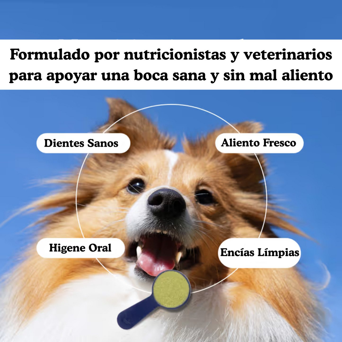 Polvo Dental Natural
