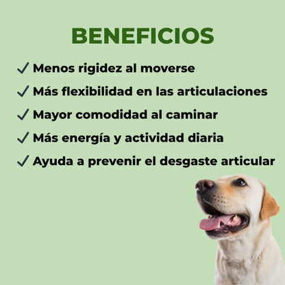 Refuerzo Articular