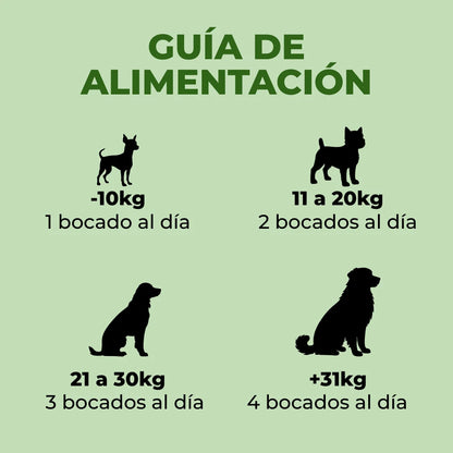 Refuerzo Articular