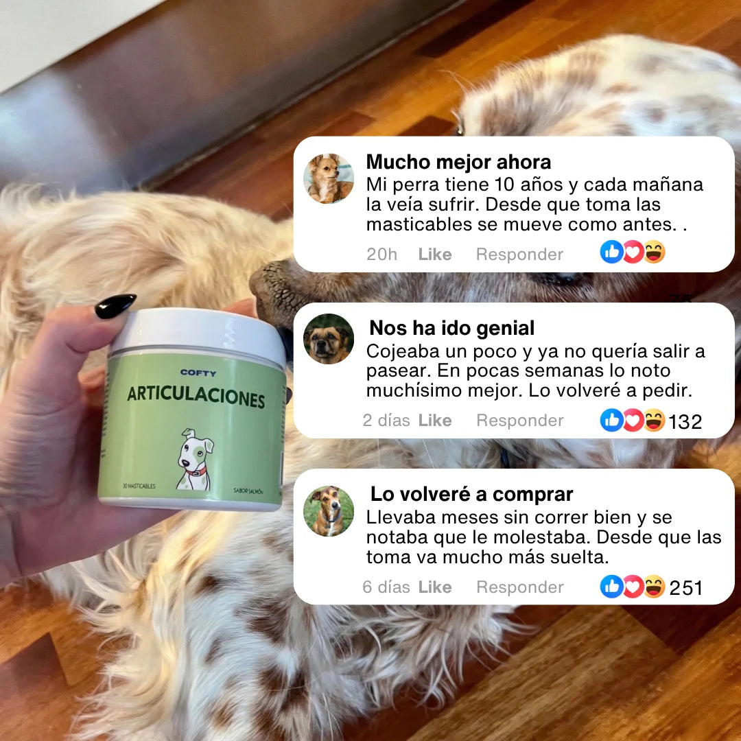 Refuerzo Articular