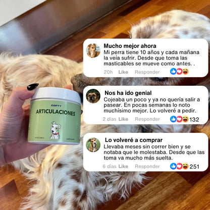 Refuerzo Articular