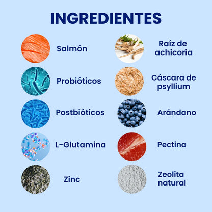 Probiótico Para Perros