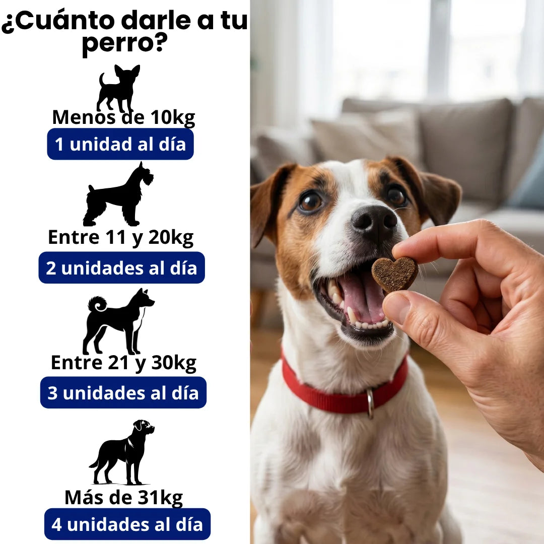 Probiótico Para Perros