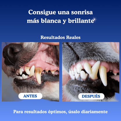 Polvo Dental Natural