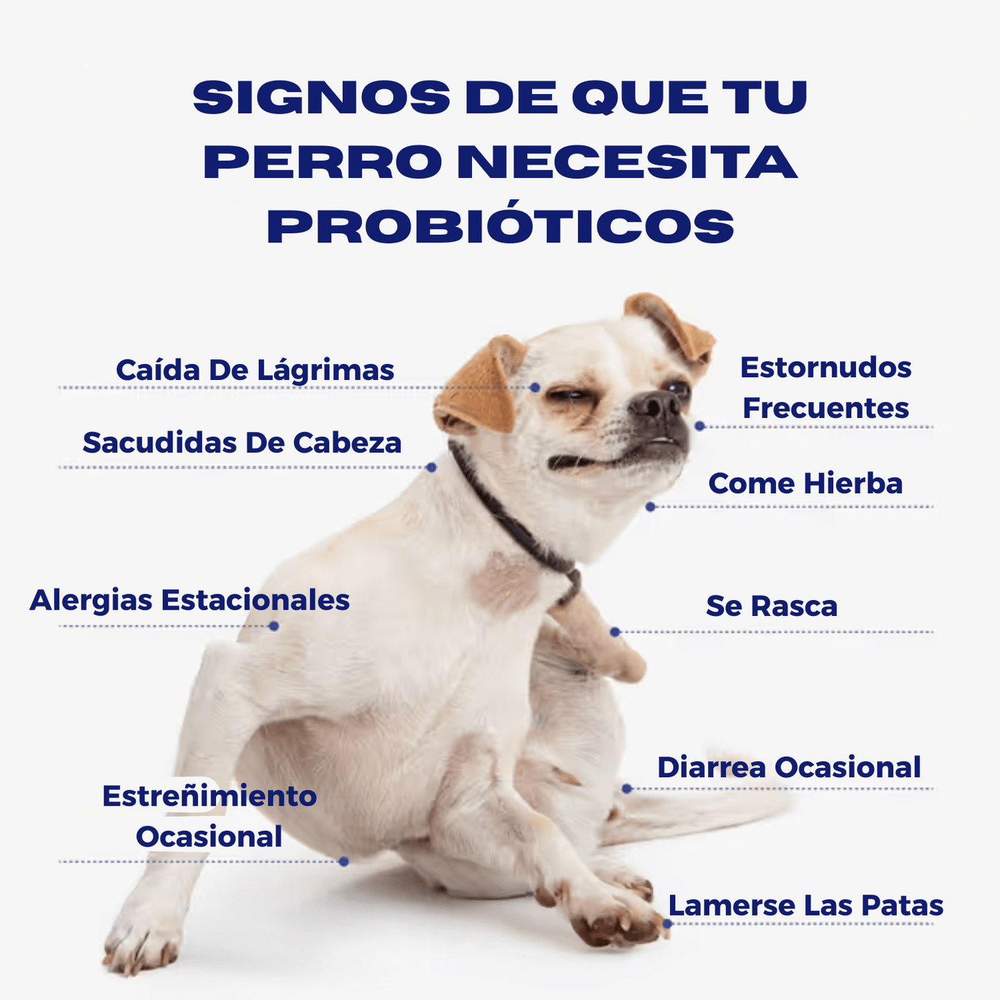 Probiótico Para Perros