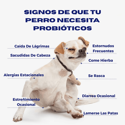 Probiótico Para Perros