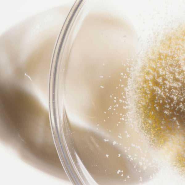 Mezcla de Probióticos