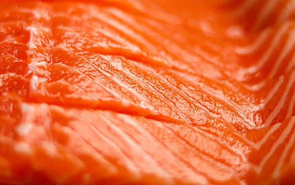 Proteina de Salmón